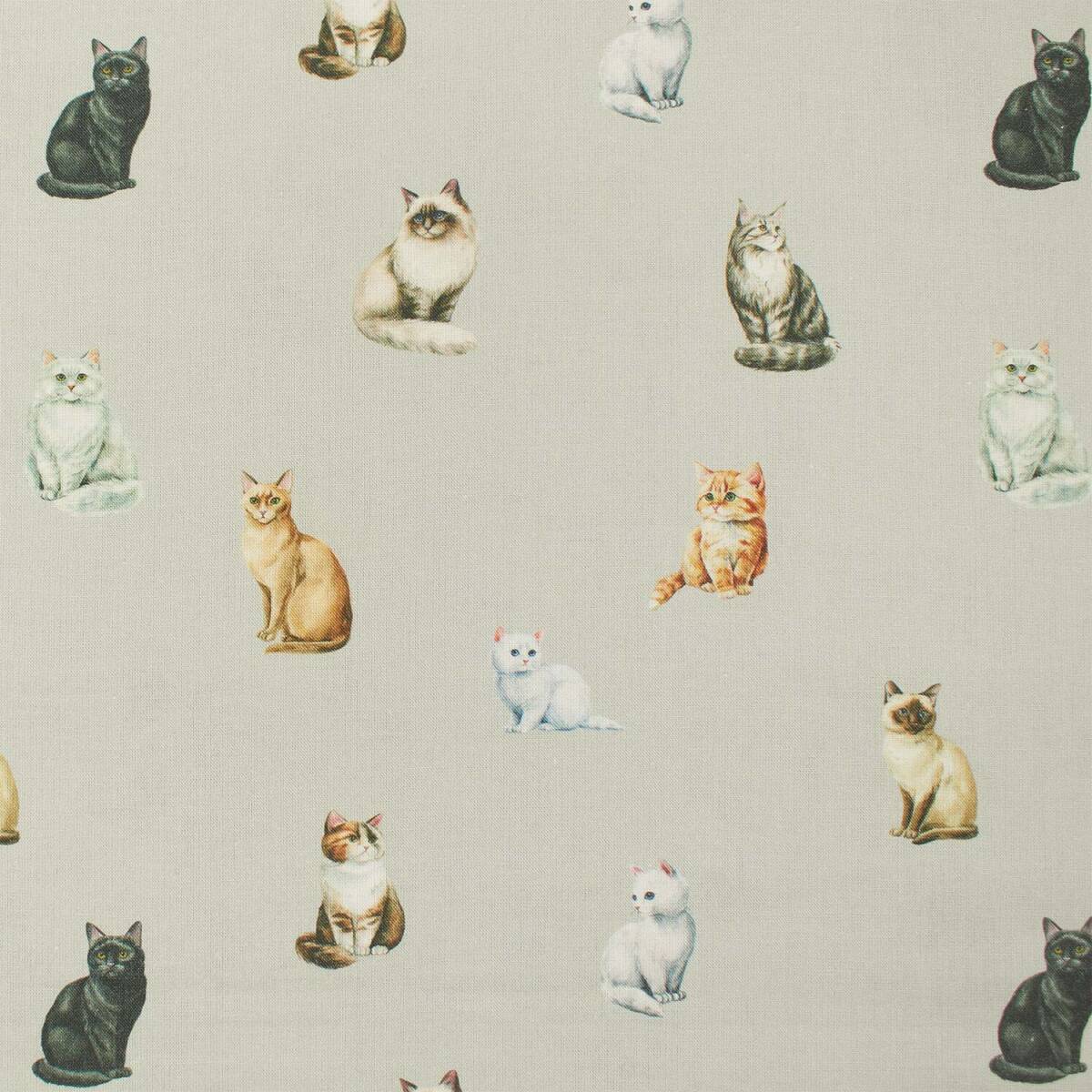 Baumwollstoff Katzen, grau box