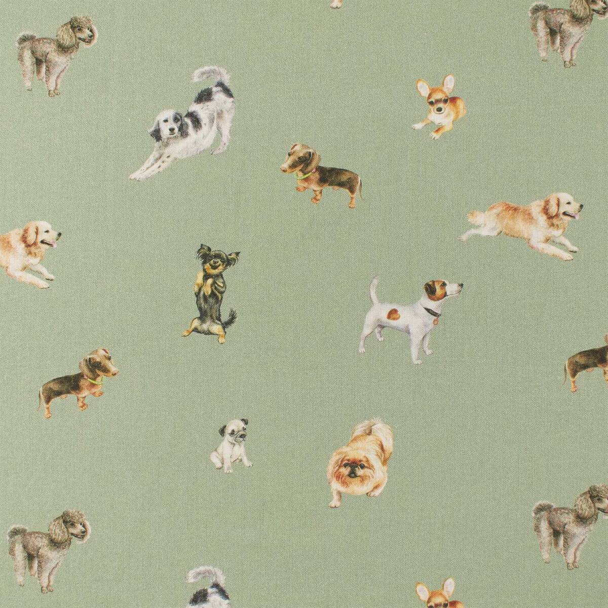 Baumwollstoff Hunde, salbei box