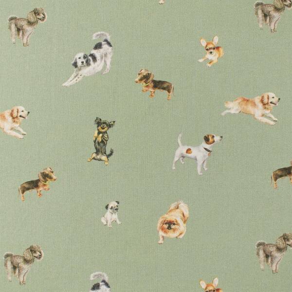 Baumwollstoff Hunde, salbei