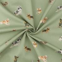 Baumwollstoff Hunde, salbei