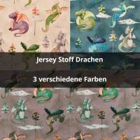 Jersey Stoff Drachen