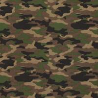 Sweatstoff Camouflage, angeraut, armeegrün