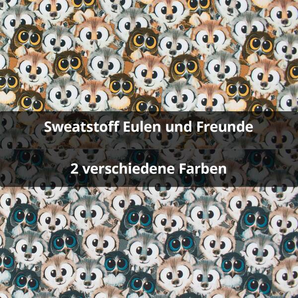 Sweatstoff Eulen und Freunde, angeraut