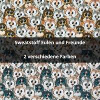 Sweatstoff Eulen und Freunde, angeraut