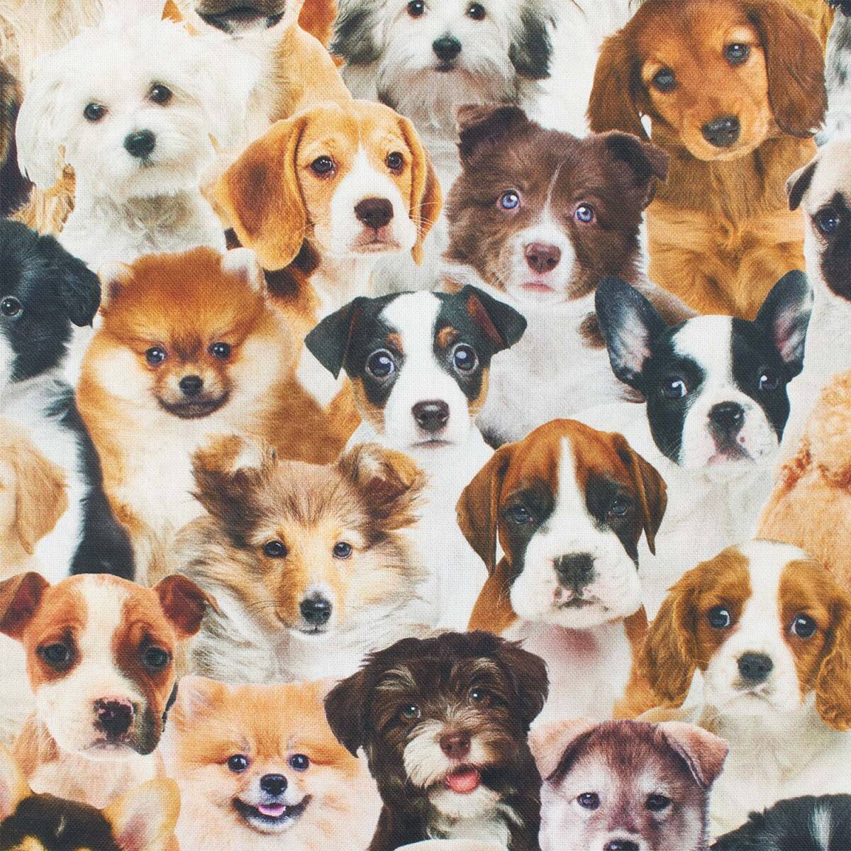 Halbpanama Stoff Hundeköpfe, Leinenoptik, mehrfarbig
