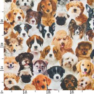 Halbpanama Stoff Hundeköpfe, Leinenoptik, mehrfarbig