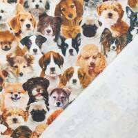 Halbpanama Stoff Hundeköpfe, Leinenoptik, mehrfarbig