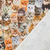 Halbpanama Stoff Katzenköpfe, mehrfarbig