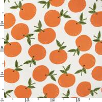 Canvas Stoff Orangen, weiß
