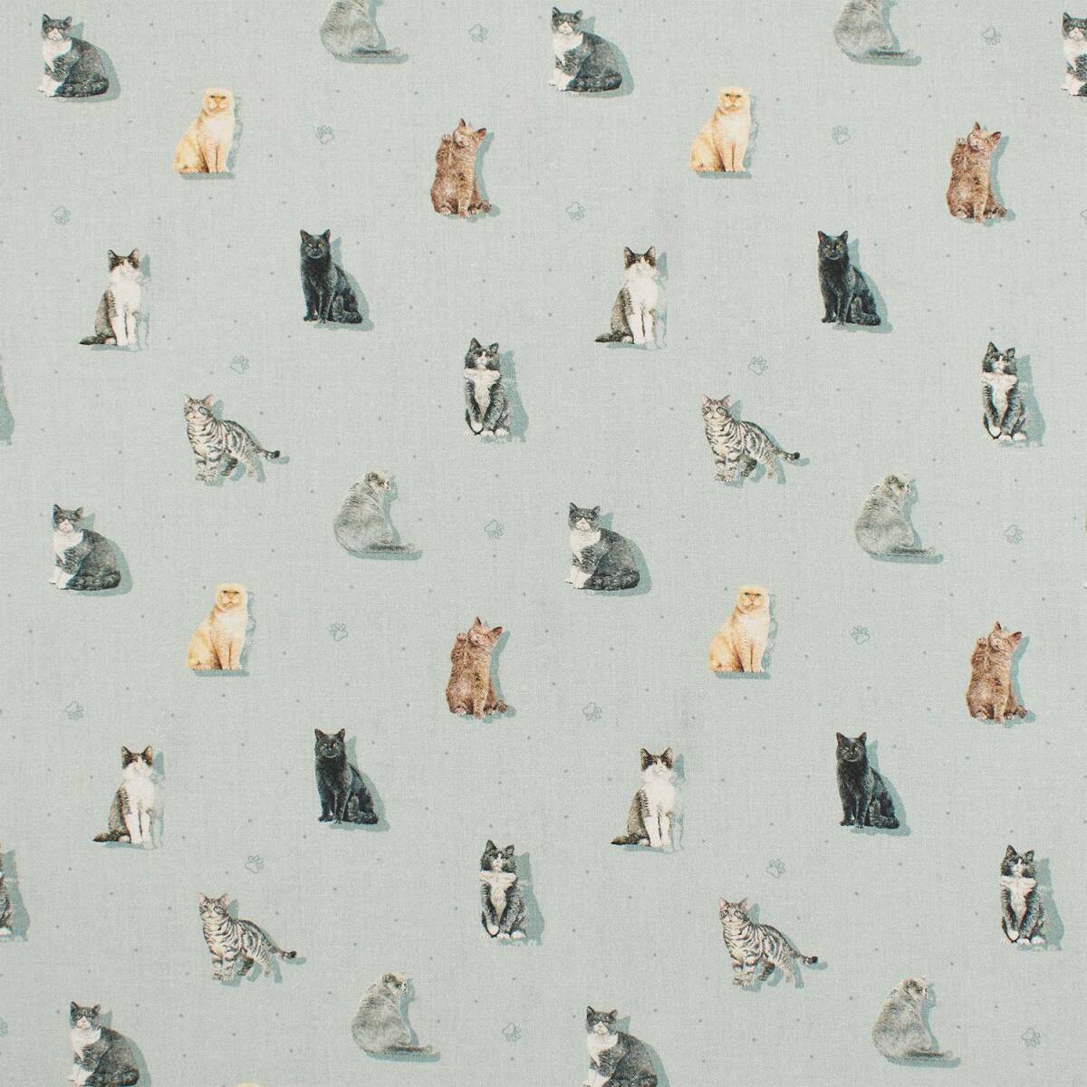 Baumwollstoff Popeline Katzen, graublau box